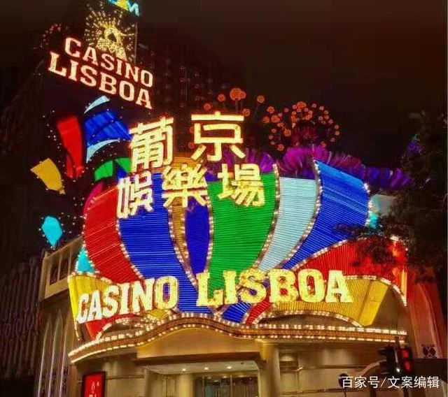 合规牌照信息 - 官方授权认证